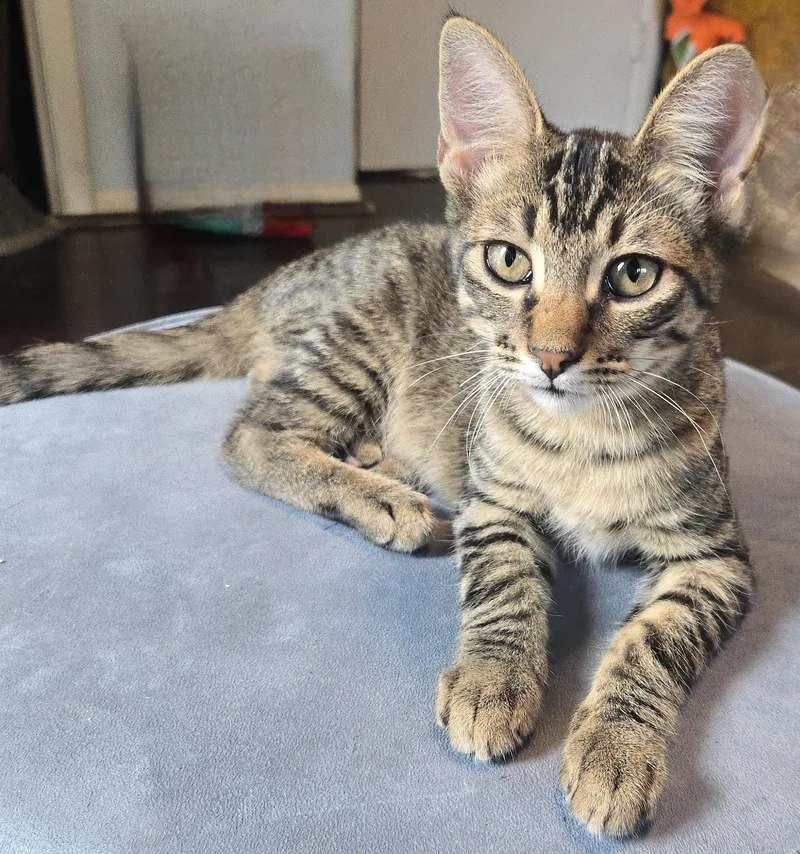 Hugsy And Meer thumbnail 4