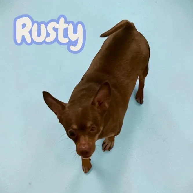 Rusty  looking for thumbnail 2