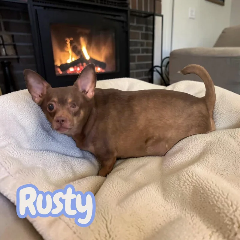 Rusty  looking for thumbnail 3