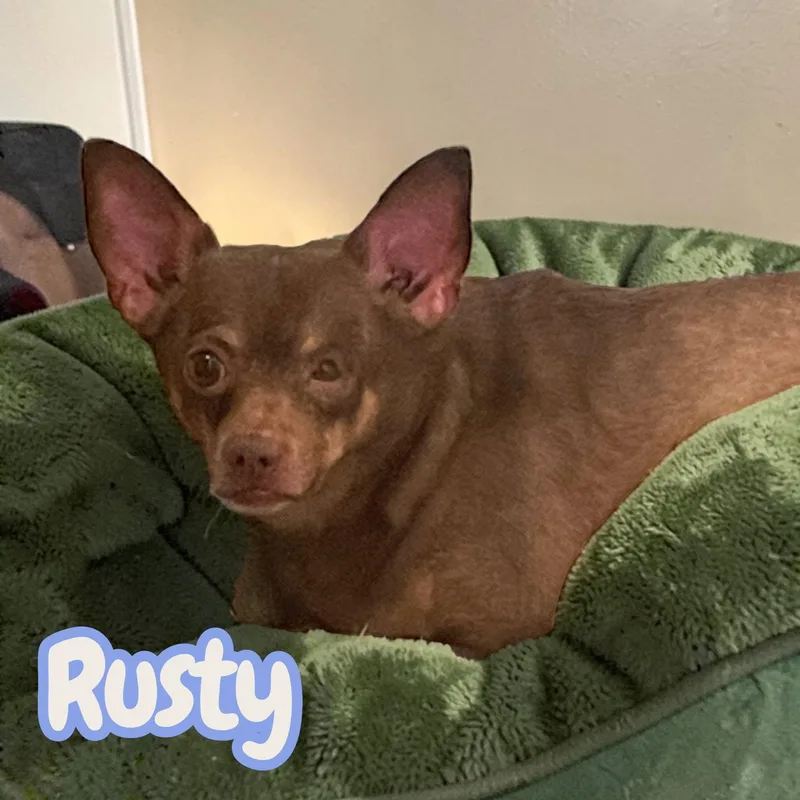 Rusty  looking for thumbnail 4