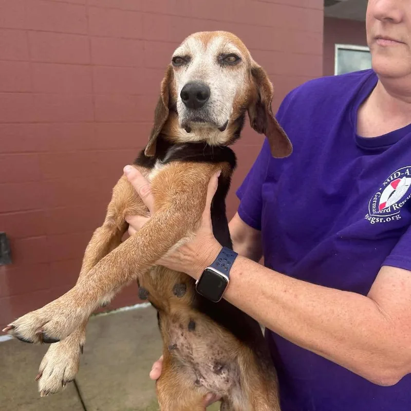 Nana Banana thumbnail 2