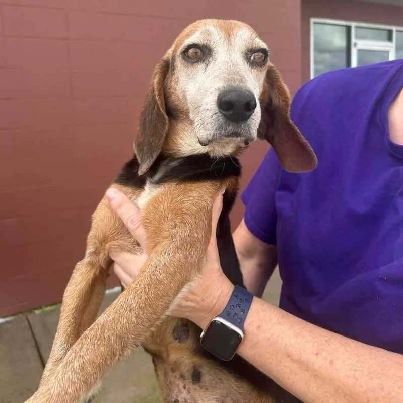 Nana Banana thumbnail 3