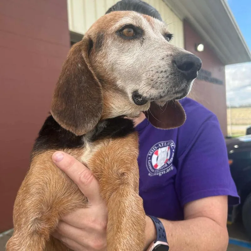 Nana Banana thumbnail 4