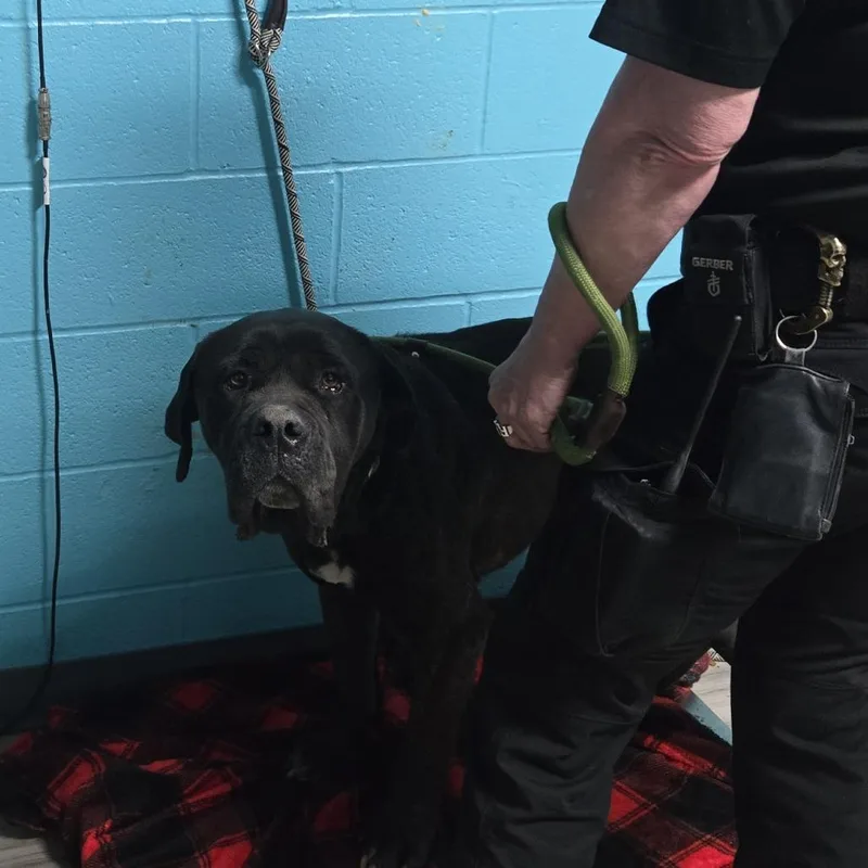 Vandmelon thumbnail 2