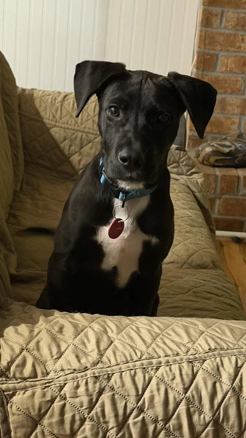 Waffles thumbnail 2