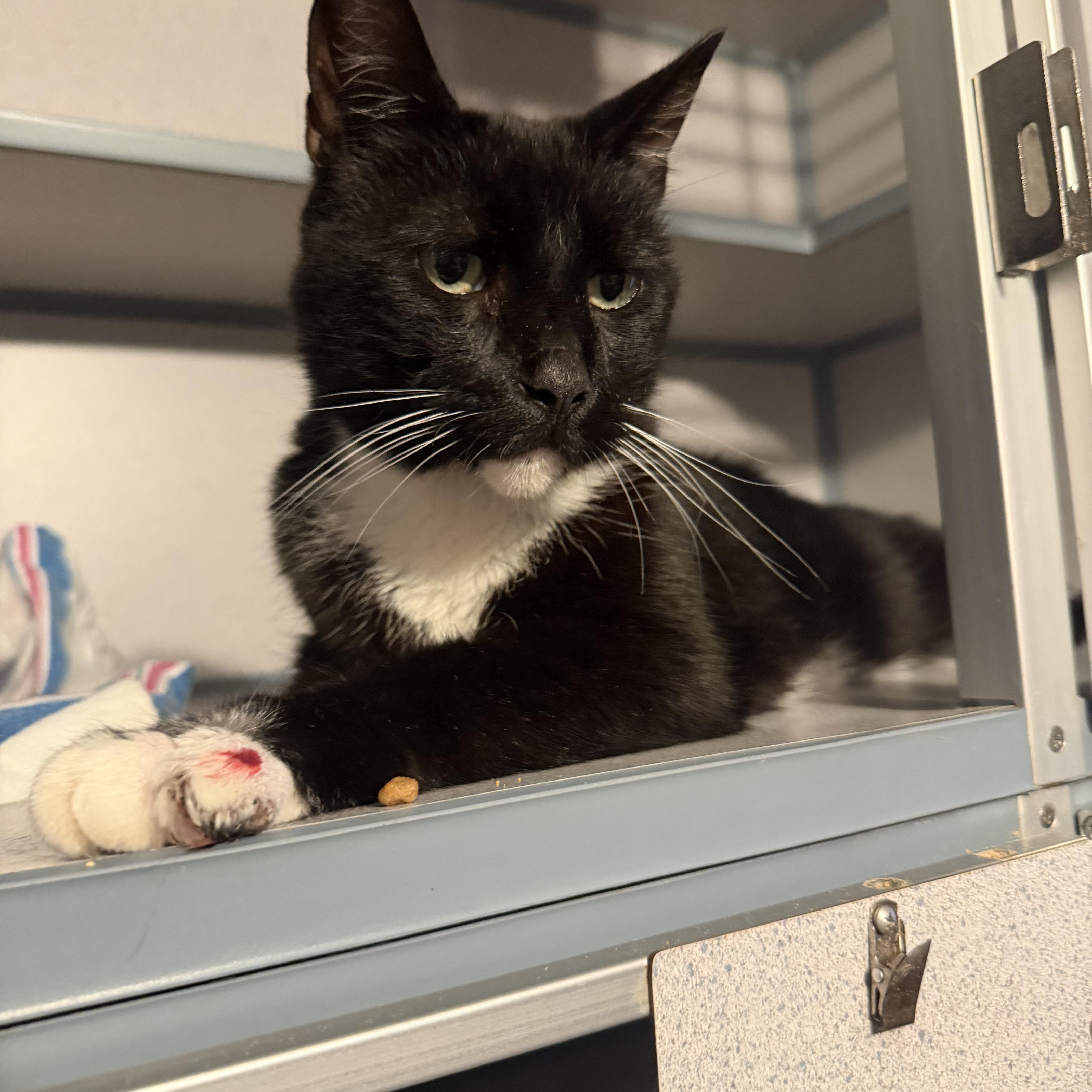 Sebastian
