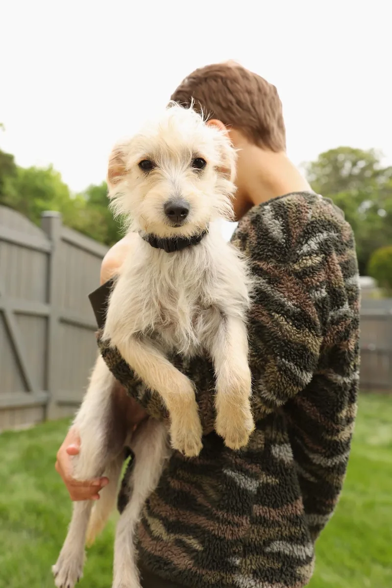 Tofu thumbnail 6