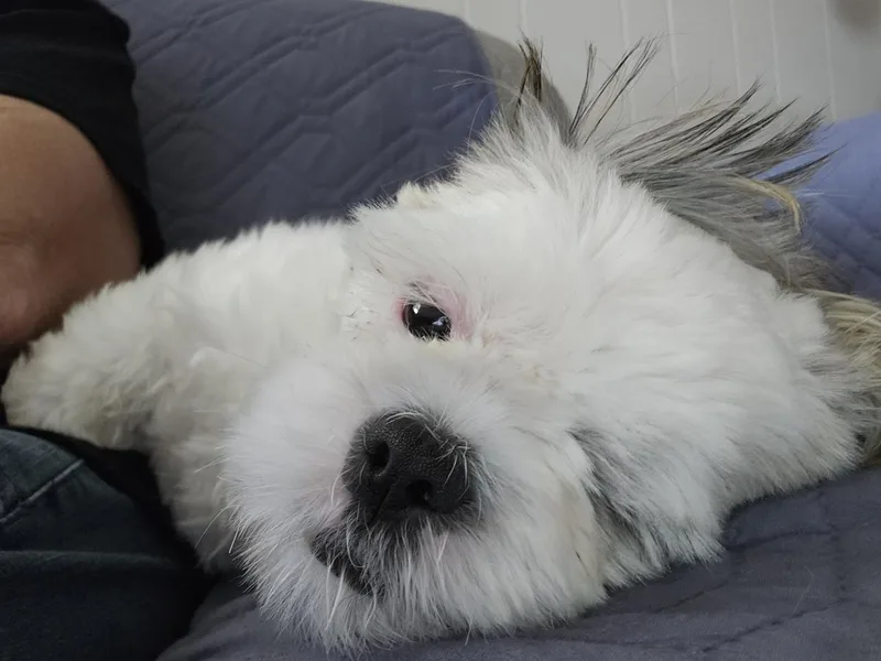 Matilda
