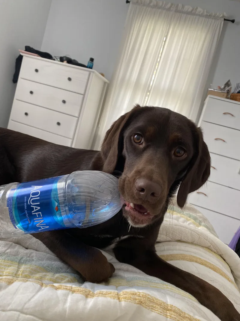Tucker