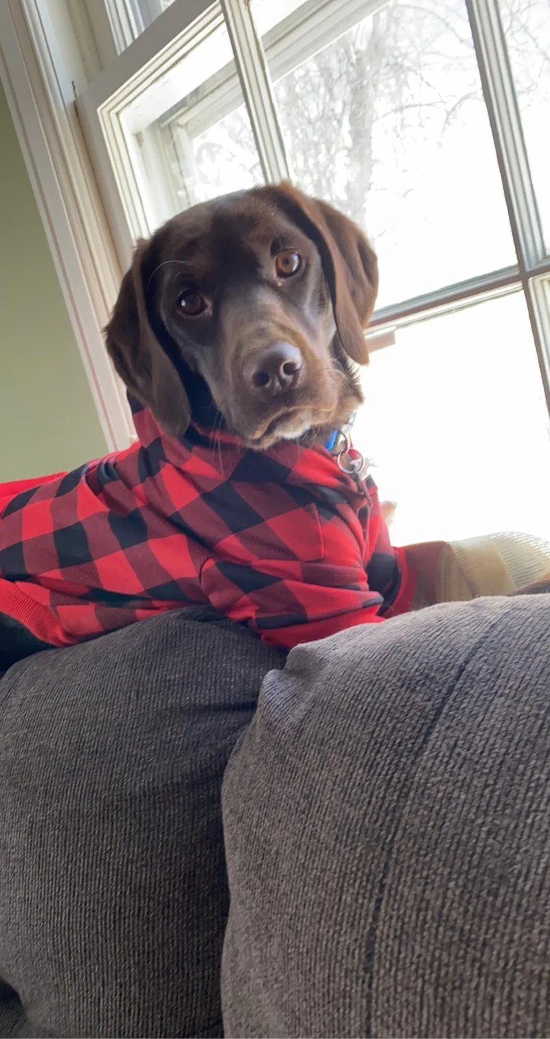 Tucker thumbnail 2