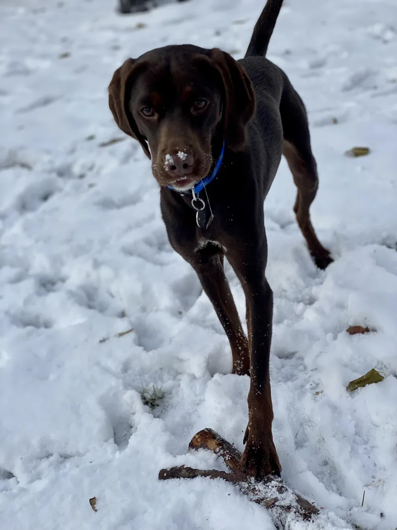 Tucker thumbnail 3