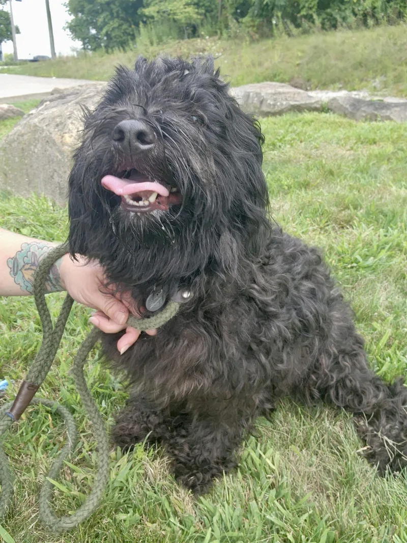 Mia