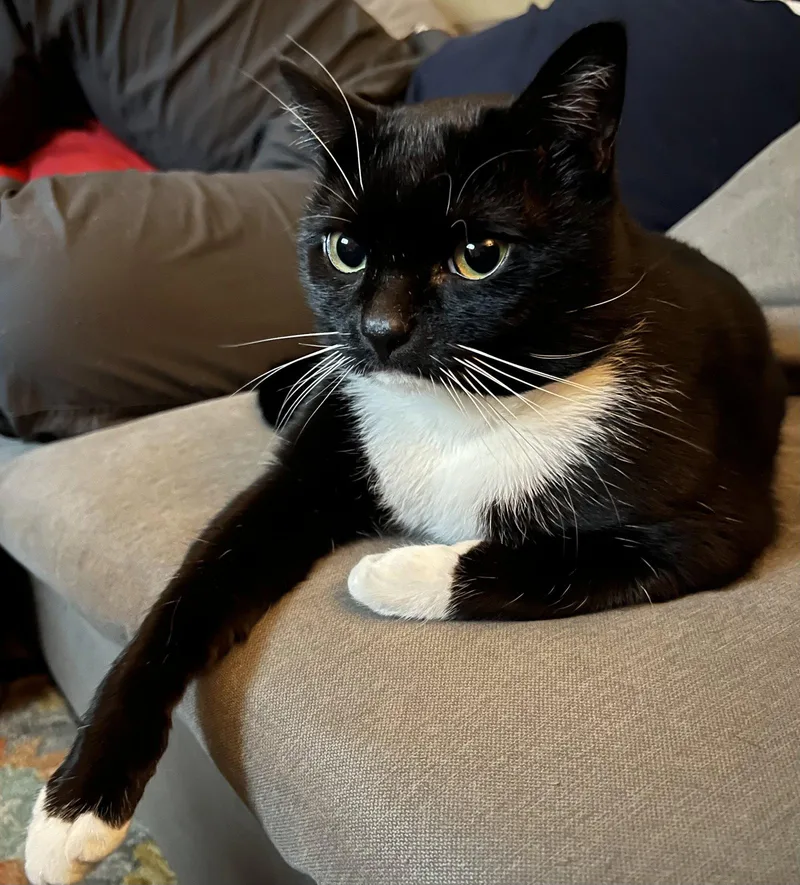 Jax   Offered thumbnail 3