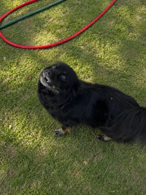 Tzuki thumbnail 3