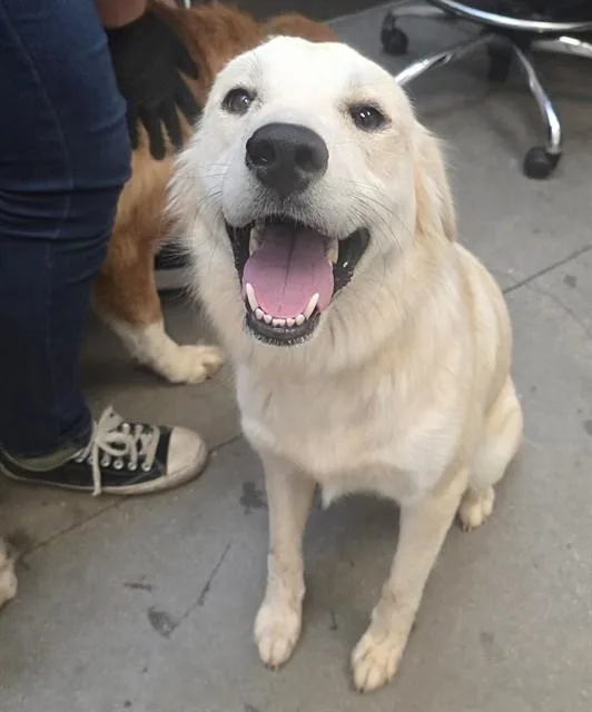Sierra