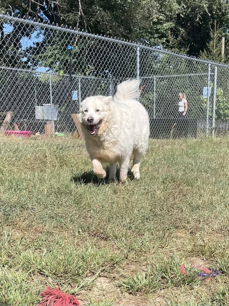 Baby Snoot thumbnail 5