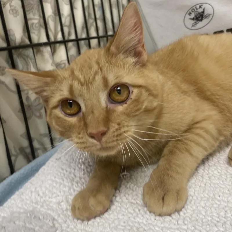 Wabi Sabi thumbnail 2