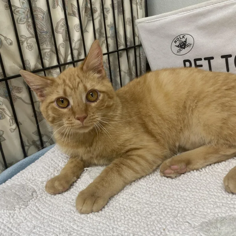 Wabi Sabi thumbnail 3