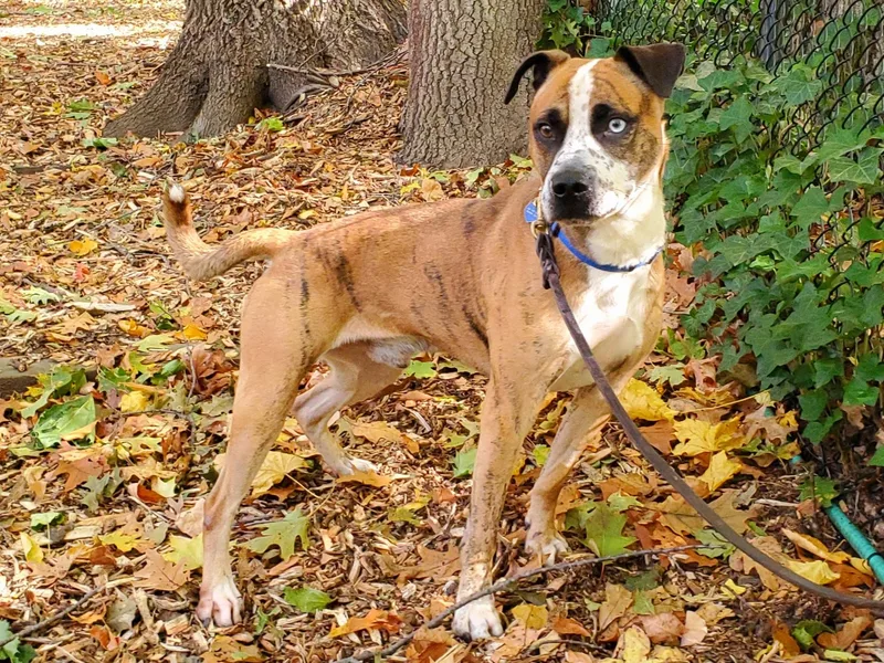 The Rock thumbnail 3