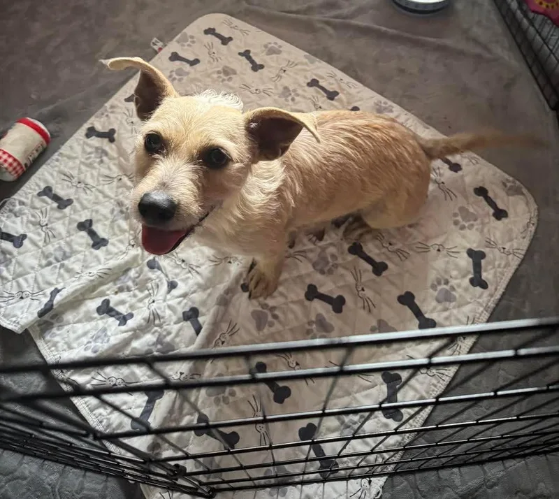 Captain Qwark thumbnail 2