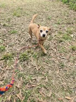 Pr  Queso thumbnail 2