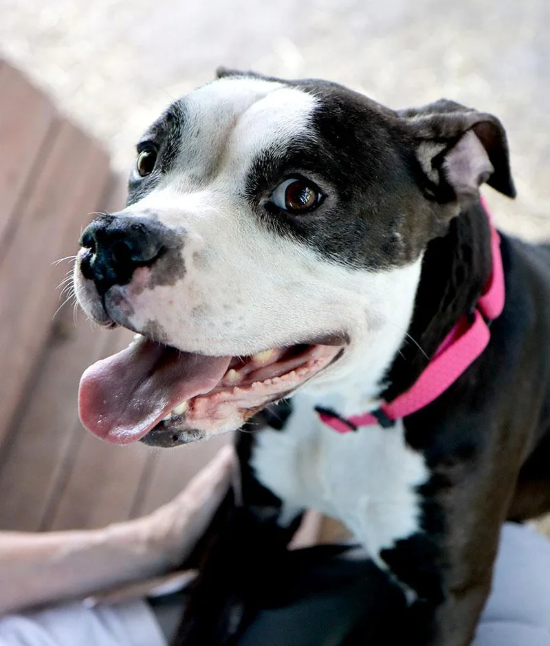 Esther thumbnail 2