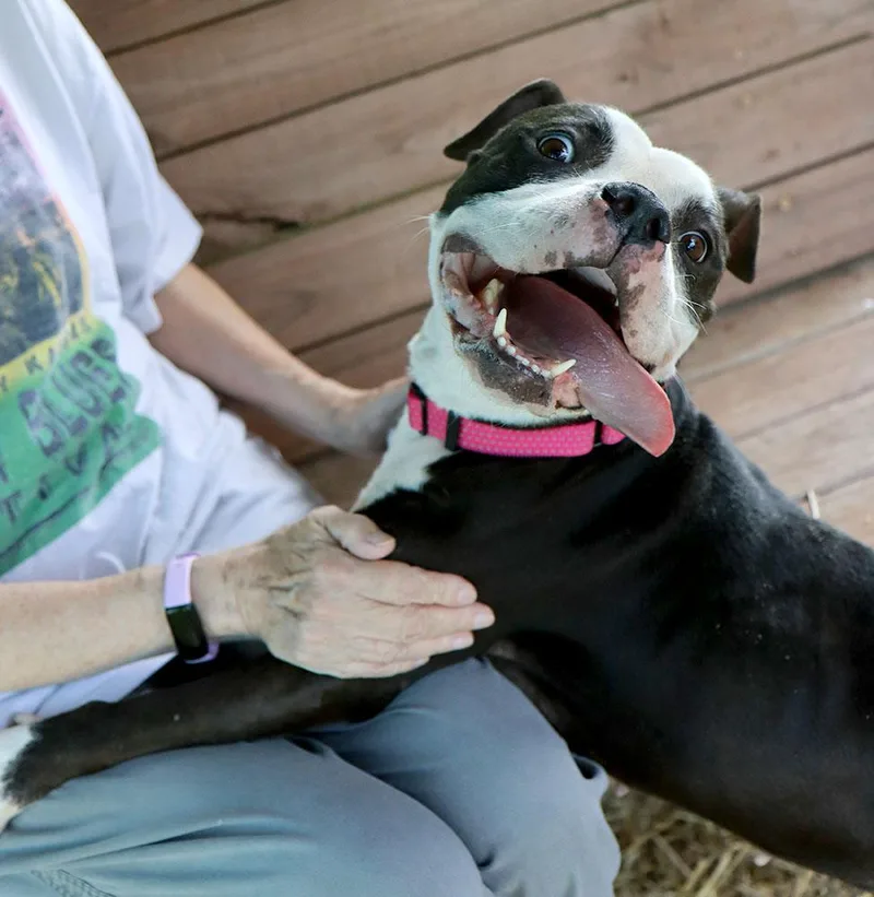 Esther thumbnail 3