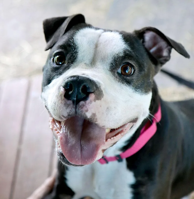 Esther thumbnail 4
