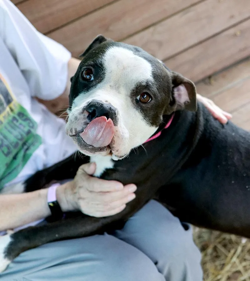 Esther thumbnail 5