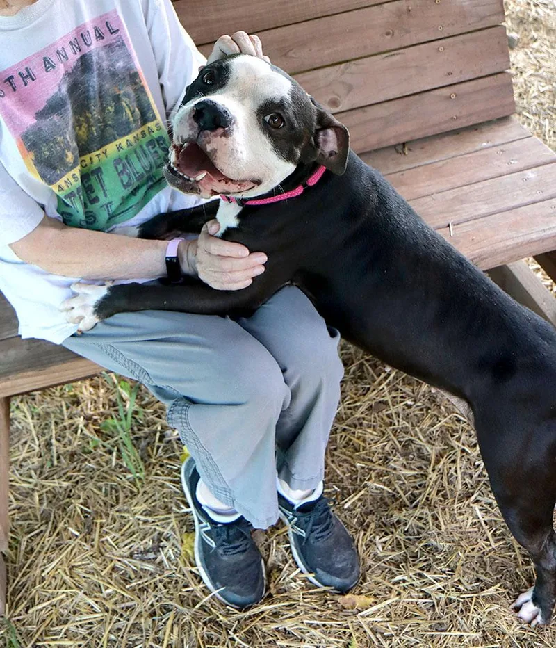 Esther thumbnail 6