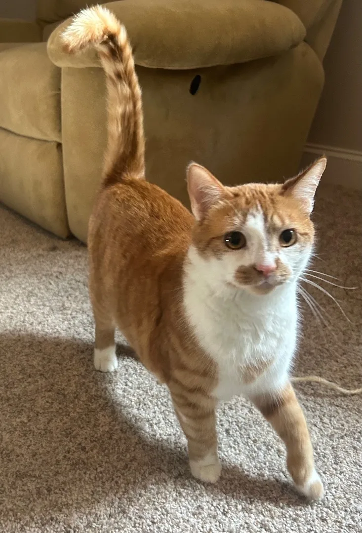 Duey And Roxy thumbnail 4