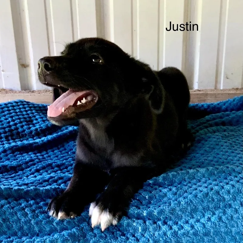 Justin thumbnail 2