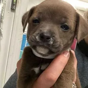 Lightguard thumbnail 3