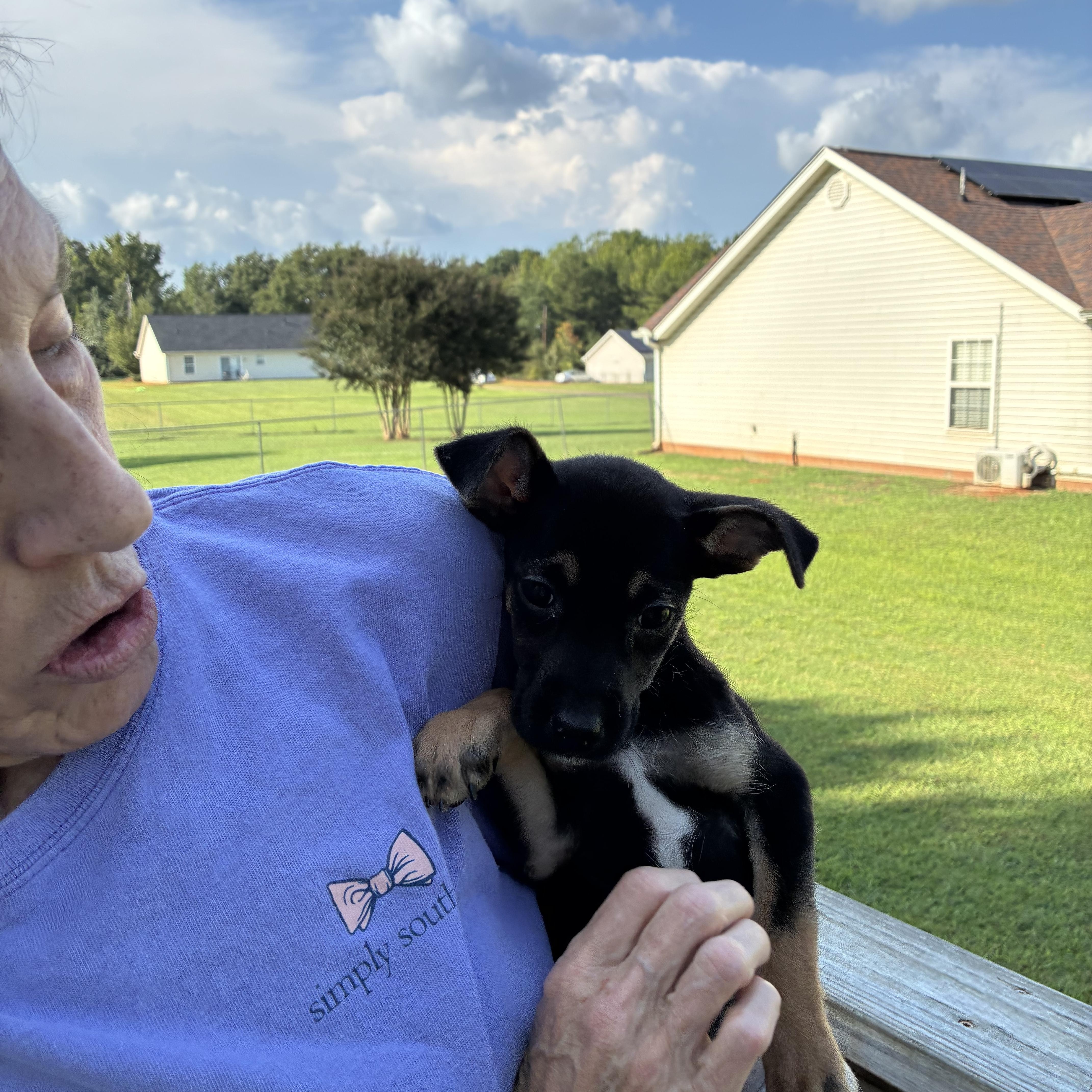 Mary Ann thumbnail 3