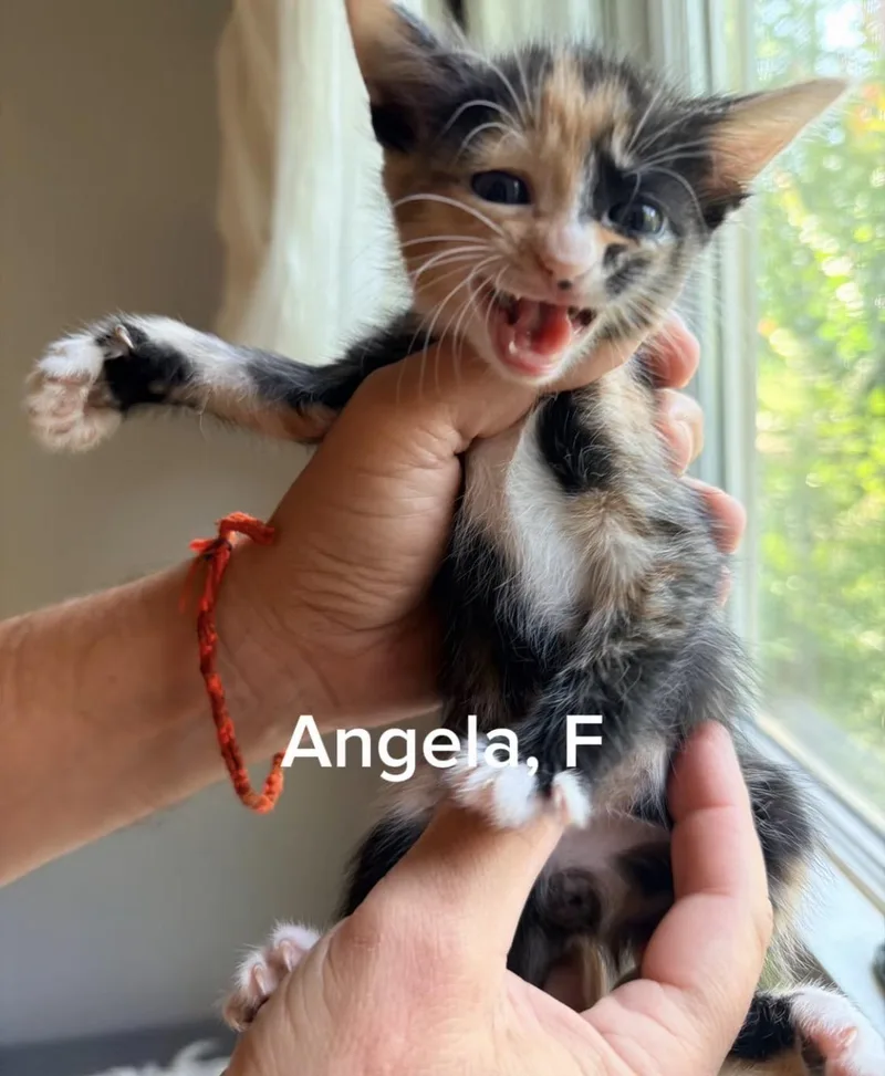 Angela