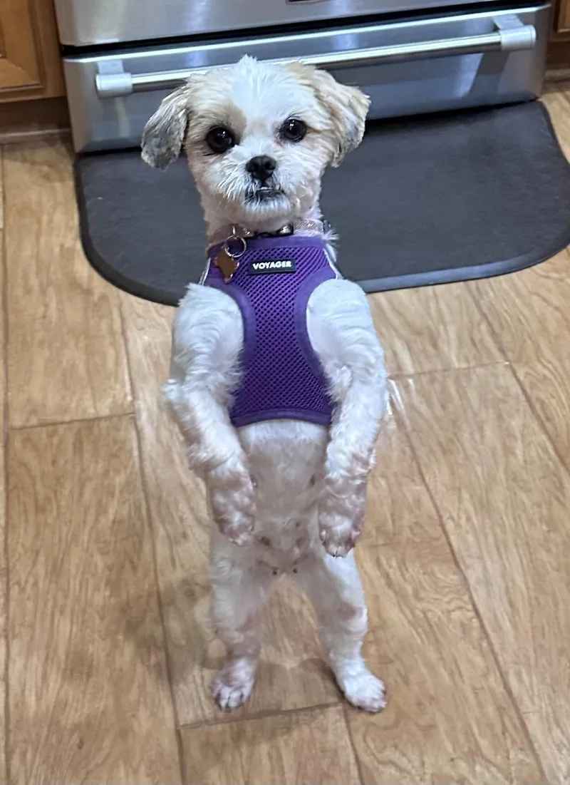 Nala fka Annie thumbnail 3