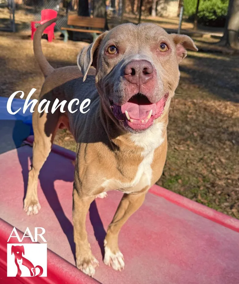 Chance