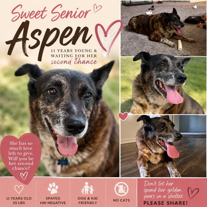 Aspen thumbnail 4