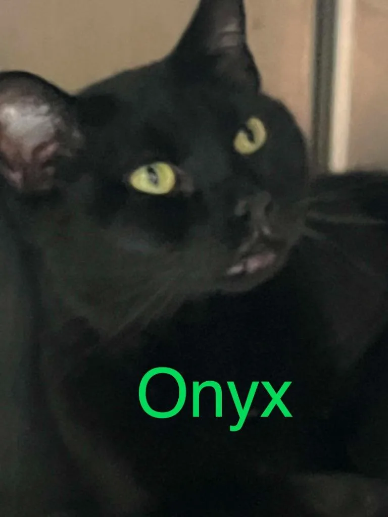 Onyx