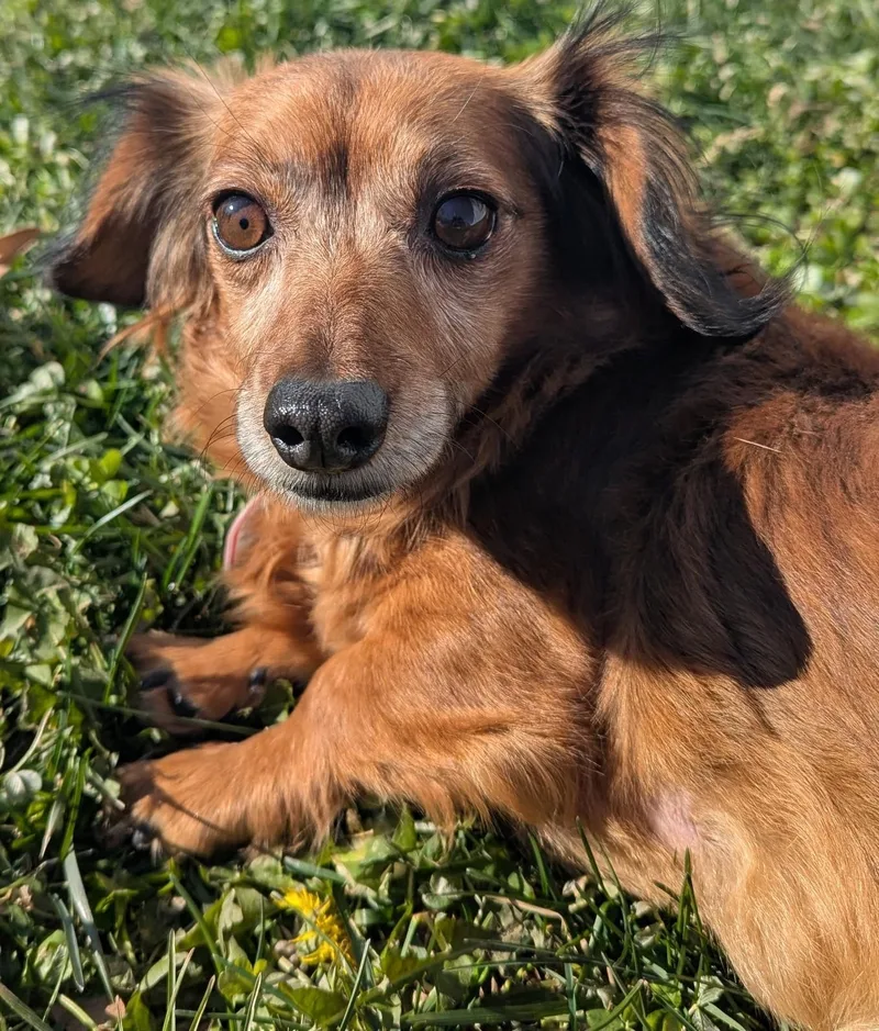 Gisselle In Tn thumbnail 3