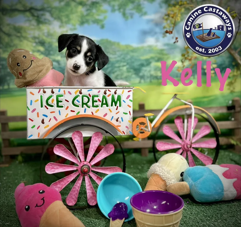 Kelly thumbnail 4