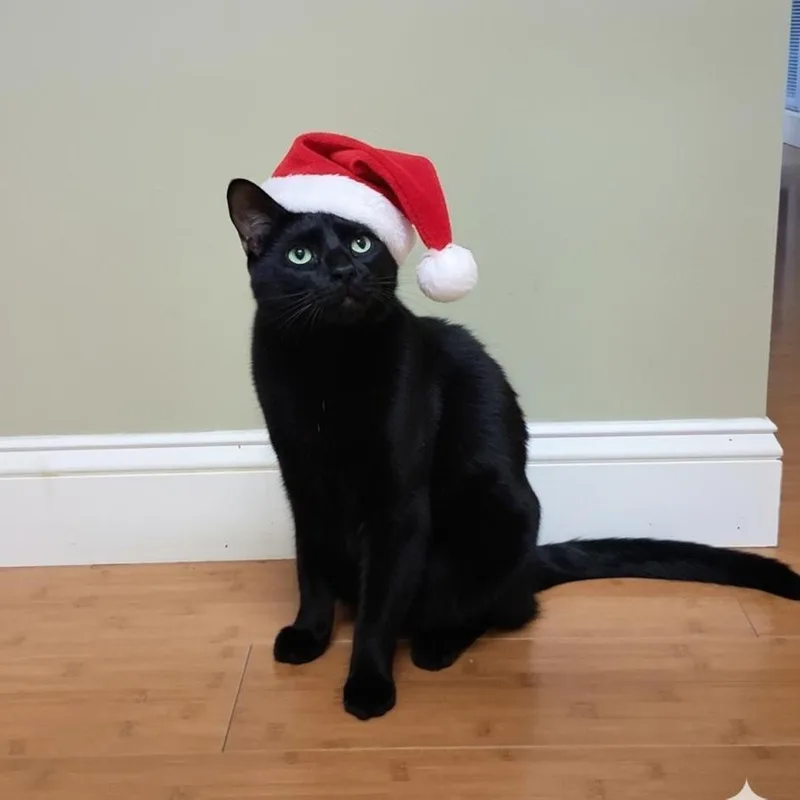 Shadow And Sax thumbnail 2