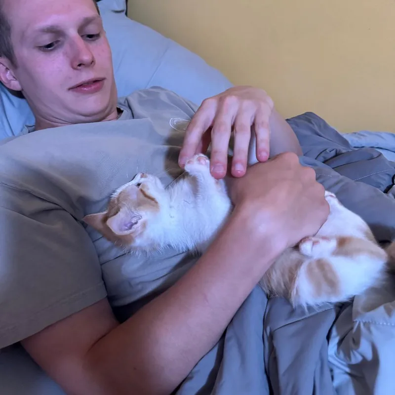 Maxey thumbnail 3