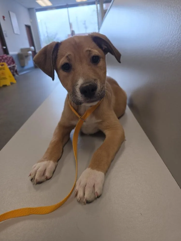 Srv Palau : Angie thumbnail 2