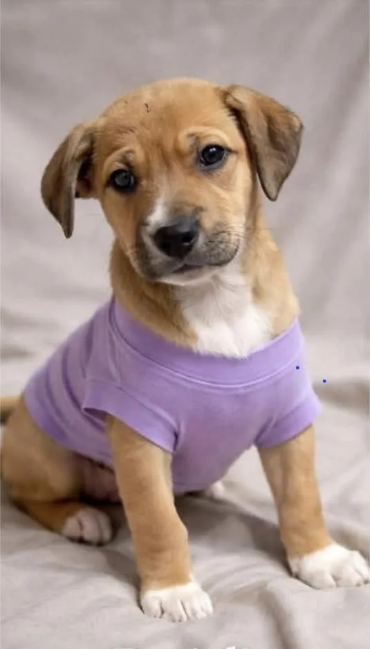 Srv Palau : Angie thumbnail 4