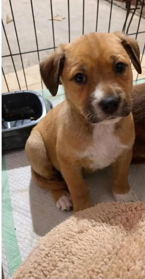 Srv Palau : Angie thumbnail 5