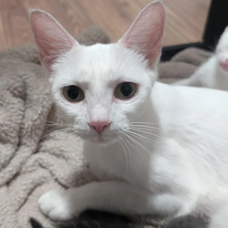Sally thumbnail 2