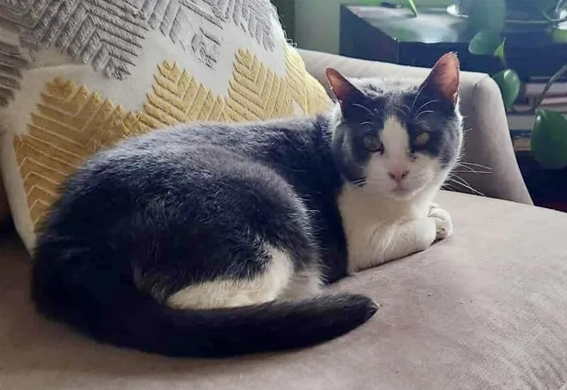 Mercedes thumbnail 2