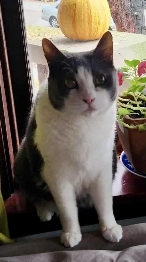 Mercedes thumbnail 5