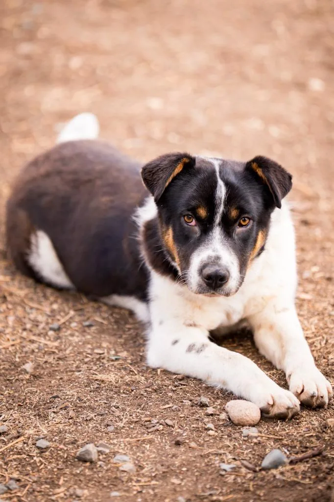 Margalo B. Berryglow